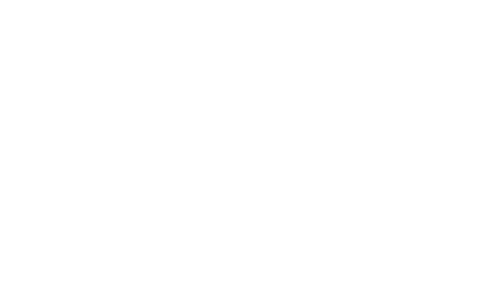 Tesluz